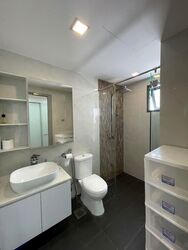 iSuites @ Palm (D19), Apartment #575502611